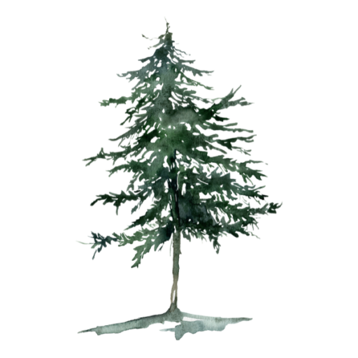 https://jacquiacree.com/wp-content/uploads/2022/01/cropped-tree4.png